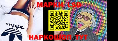 ALPHA PVP Ярославль