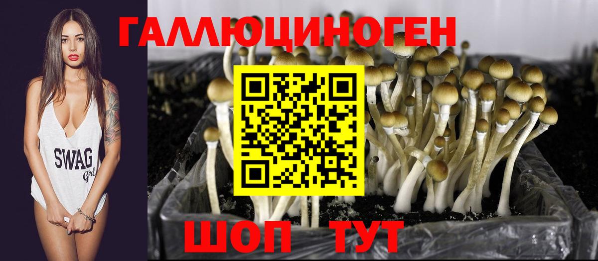 Галлюциногенные грибы ЛСД  Вход с VPN  цены наркотик  Долгопрудный 